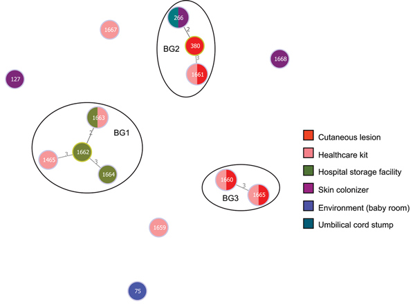 goeBURST full MST analysis (http://www.phyloviz.net/goeburst) at triple-locus variant level illustrating the evolutionary relationship within the 3 BGs identified during investigation of an outbreak at Assam Medical College &amp; Hospital, Dibrugarh, India, 2018. Each circle represents a sequence type (ST), and its size is logarithmically proportionate to the number of isolates represented by that ST. The numbers over the line connecting 2 STs indicate the number of allele difference between the