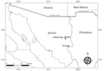 Thumbnail of Locations where ticks of the Amblyomma maculatum group were collected (diamonds) in a study of Rickettsia parkeri and Candidatus Rickettsia andeanae, Sonora, Mexico. A layer of Google Maps was used to construct the figure.