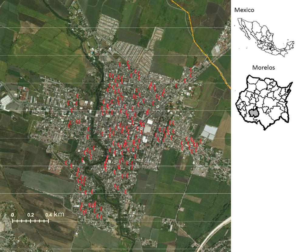 Location of ovitraps in the municipality of Jojutla, Morelos, Mexico (red). The ovitraps were set according to the guidelines of the Vector Transmitted Diseases Program of the National Center of Preventive Programs and Disease Control (CENAPRECE; http://www.cenaprece.salud.gob.mx/programas/interior/portada_vectores.html). Insets show location of Morelos in Mexico (top) and Jojutla in Morelos (bottom). 