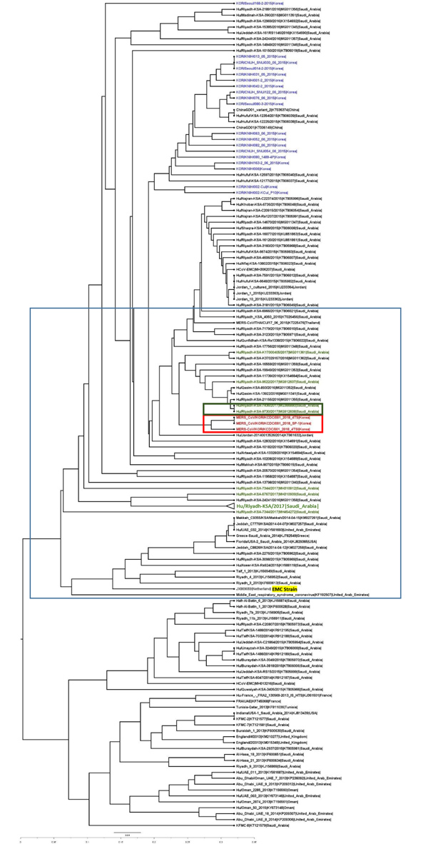 Molecular phylogenetic tree and coding region variants for the spike (S) glycoprotein gene of MERS-CoV isolates from South Korea, September 2018, and reference sequences. Phylogenetic analysis of 157 S sequences was performed using MEGA7 (https://www.megasoftware.net), with tree visualization using FigTree version 1.4.3 (http://tree.bio.ed.ac.uk/software/figtree). The taxonomic positions of circulating strains from the outbreak in South Korea and Riyadh, Saudi Arabia, are indicated. Boldface ind