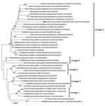 Thumbnail of Maximum-likelihood tree showing MERS-CoV isolates from South Korea, September 2018 (red dot), and reference MERS-CoV genomes. Tree estimated using RAxML values (https://github.com/stamatak/standard-RAxML) on branches are shown as percentages based on 1,000 bootstrap replicates from the nucleotide sequences. MERS-CoV, Middle East respiratory syndrome coronavirus. Scale bar indicates nucleotide substitutions per site.