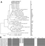 Thumbnail of A) Evolutionary relationships of representative strains of African swine fever virus based on the neighbor-joining phylogeny of the partial p72 gene sequences. The phylogenetic analysis was performed using MEGA7 (http://www.megasoftware.net) and the Kimura 2-parameter substitution model, as determined by a model selection analysis. Bootstrap values (&gt;70%, based on 500 replicates) for each node are given. GenBank accession numbers, country, and year of collection are indicated for