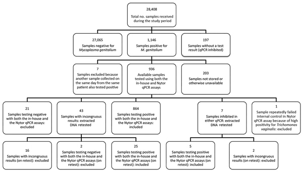 Characteristics of all samples received during study of macrolide-resistant Mycoplasma genitalium in southeastern region of the Netherlands, 2014–2017. qPCR, quantitative PCR.