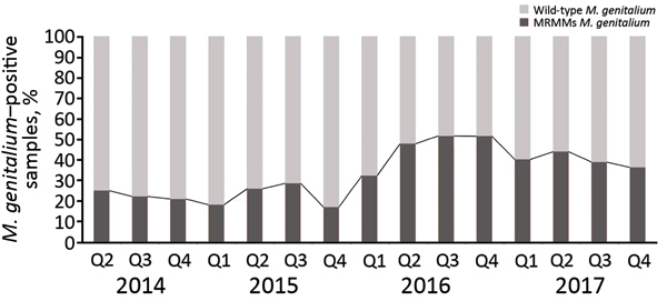 Proportion of Mycoplasma genitalium–positive samples containing MRMMs in study of macrolide-resistant Mycoplasma genitalium in southeastern region of the Netherlands, 2014–2017. Percentages of M. genitalium–positive samples that are either wild-type or positive for MRMMs are based on quantitative PCR. MRMM, macrolide resistance–mediating mutation; Q, quarter.