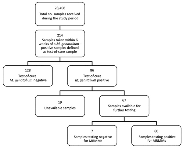 Identification and test results for test-of-cure samples in study of macrolide-resistant Mycoplasma genitalium in southeastern region of the Netherlands, 2014–2017. Positive results indicate presence of M. genitalium; negative results indicate no M. genitalium. MRMM, macrolide resistance–mediating mutation.