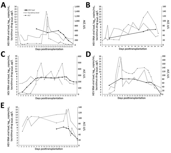 Kinetics of liver function test (ALT) results, tacrolimus levels, and plasma HEV RNA load with relation to ribavirin therapy. A) Case-patient 1; B) case-patient 2; C) case-patient 3; D) case-patient 4; E) case-patient 5. Date for case-patients 1, 3, 4, and 5 were updated up to week 8 of ribavirin treatment. Horizontal black bars indicate when patient began taking oral ribavirin. ALT, alanine aminotransferase; HEV, hepatitis E virus.