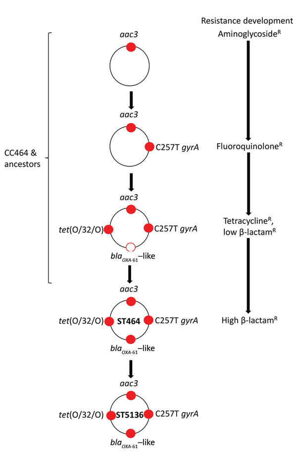 Figure 1 Nationwide Stepwise Emergence And Evolution Of Multidrug