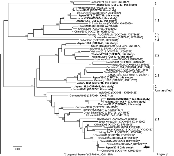 Phylogenetic tree displaying the genetic relatedness of the classical swine fever virus (CSFV) isolate obtained from the 2018 classical swine fever (CSF) outbreak in Japan to other CSFV isolates. Phylogenetic analyses were performed by using the neighbor-joining method with complete E2 (1,119 nt) sequences, including 1,000 iterations for bootstrap analysis, and were generated by the genetic typing module of the CSF database at the European Union and OIE Reference Laboratory for Classical Swine F
