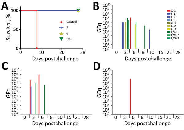 Protection of African green monkeys (Chlorocebus aethiops) from Nipah virus Bangladesh strain (NiVB)–mediated disease and viral load. A) Kaplan-Meier survival curve for each vaccine group and historical controls after NiVB challenge: controls (vaccine, n = 1; historical, n = 14), F group (n = 3), G group (n = 3), and F/G group (n = 3). C–D) Viral load in the animals as detected by NiVB GEq by reverse transcription quantitative PCR from nasal swab samples: as GEq per swab (B), oral swab samples a