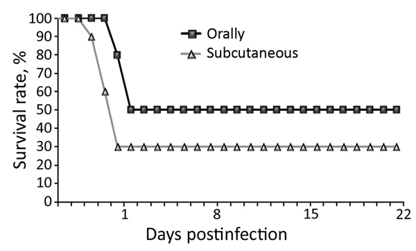 Daily survival rates among chickens experimentally infected with a novel orthobunyavirus (Kedah fatal kidney syndrome virus), isolated from broiler chickens with severe kidney disease, Malaysia, 2014–2017. 