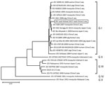 Thumbnail of Phylogenetic analysis of JEV E gene of Seal-Anheal-2017 isolate from a seal with lethal encephalitis, China, 2017, compared with 24 JEV strains of different genotypes and species origins. We constructed the tree using the neighbor-joining method and MEGA5.05 (https://www.megasoftware.net). Reliability of the branching orders was evaluated by the bootstrap test (n = 1,000). E, envelope; G, genotype; JEV, Japanese encephalitis virus; seq, sequence.