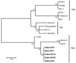 Thumbnail of Phylogenetic tree for tp0548–tp0856 gene regions (1173–1233 bp) of clinical isolates of Treponema pallidum from Japan (bold) and reference isolates. The tree was constructed by using MEGA6 (https://www.megasoftware.net) with the bootstrapping maximum-likelihood algorithm and the Tamura–Nei model. Numbers along branches indicate bootstrap values. Scale bar indicates nucleotide substitutions per site. Strains from this study were submitted to GenBank under the following accession numb