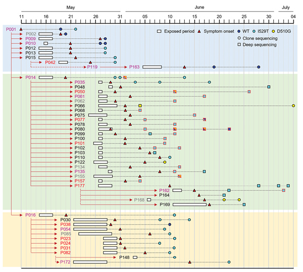 Emergence and spread of Middle East respiratory syndrome coronavirus (MERS-CoV) bearing the I529T or D510G mutation in the spike protein during the 2015 outbreak in South Korea. Transmission chain of infection and the timeline of potential virus exposure, symptom onset, date of specimen collection from patients, and identified mutation in the spike protein of MERS-CoV analyzed in this study. Case-patients’ IDs are colored on the basis of disease severity (gray, group I; black, group II; pink: gr