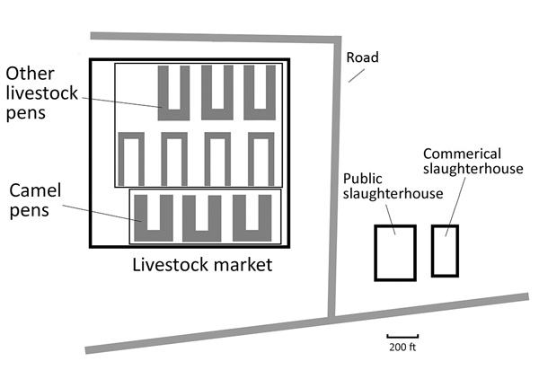 Diagram of study site indicating market and slaughterhouse settings, Abu Dhabi, United Arab Emirates.