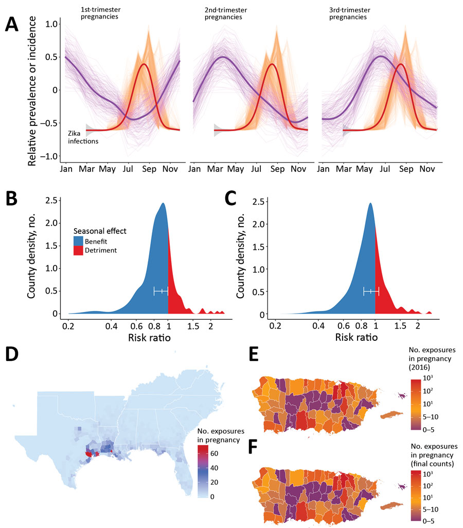 Zika virus infections during pregnancy and effects of natural birth dynamics, United States including Puerto Rico. A) Standardized prevalence of first-, second-, and third-trimester pregnancies throughout a year in the southeast United States and Texas are plotted against the simulated and standardized Zika epidemic curves for each county and for every month of import. Thin purple lines indicate county-specific prevalence of pregnancy in each respective trimester, and thick purple lines show a g