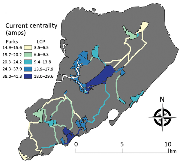 Current centrality for parks and linkages on Staten Island, New York, USA, 2017. In connectivity analysis, the park outlines were used as nodes, and gray indicates the matrix used for the resistance layer. The parks and linkages are color-graded according to their centrality values. Lighter colors indicate lower centrality, and darker colors indicate higher centrality for the network. Amps is the unit used to describe the flow of charge through the nodes. LCP, least cost path.