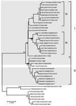 Thumbnail of Maximum-likelihood phylogenetic tree of 41 complete Ross River virus envelope (E) 3 and E2 gene nucleotide sequences (1,458 nt), 32 from isolates collected in Queensland, Australia, during January 1, 1990–June 30, 2015 (gray shading), and 9 reference sequences. Tree was constructed by using MEGA 7.0 (https://megasoftware.net) with bootstrap support (1,000 replications). The tree is midpoint rooted for clarity. Circulating northeastern lineages I and II are shown together with sublin