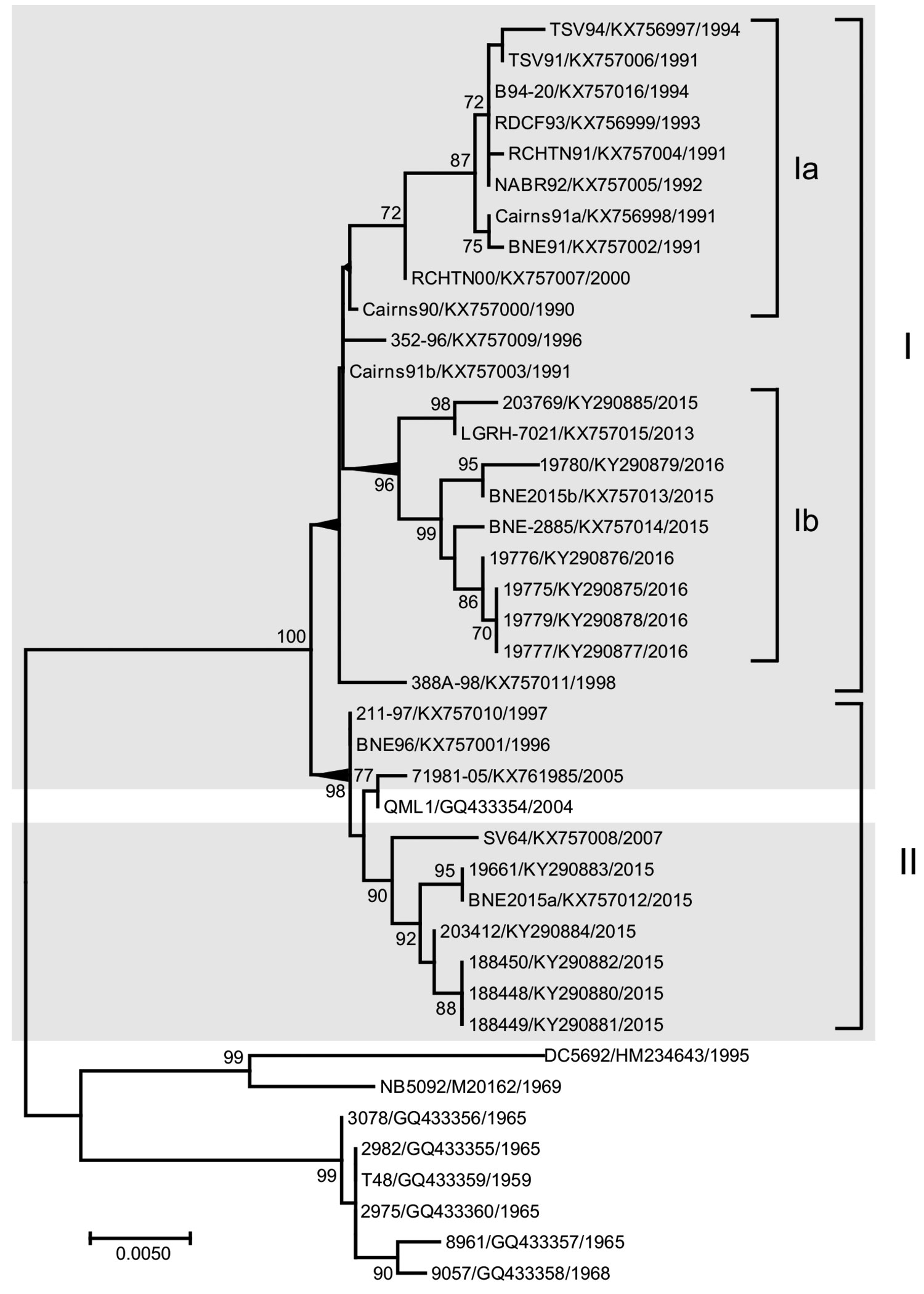 Maximum-likelihood phylogenetic tree of 41 complete Ross River virus envelope (E) 3 and E2 gene nucleotide sequences (1,458 nt), 32 from isolates collected in Queensland, Australia, during January 1, 1990–June 30, 2015 (gray shading), and 9 reference sequences. Tree was constructed by using MEGA 7.0 (https://megasoftware.net) with bootstrap support (1,000 replications). The tree is midpoint rooted for clarity. Circulating northeastern lineages I and II are shown together with sublineages Ia and 
