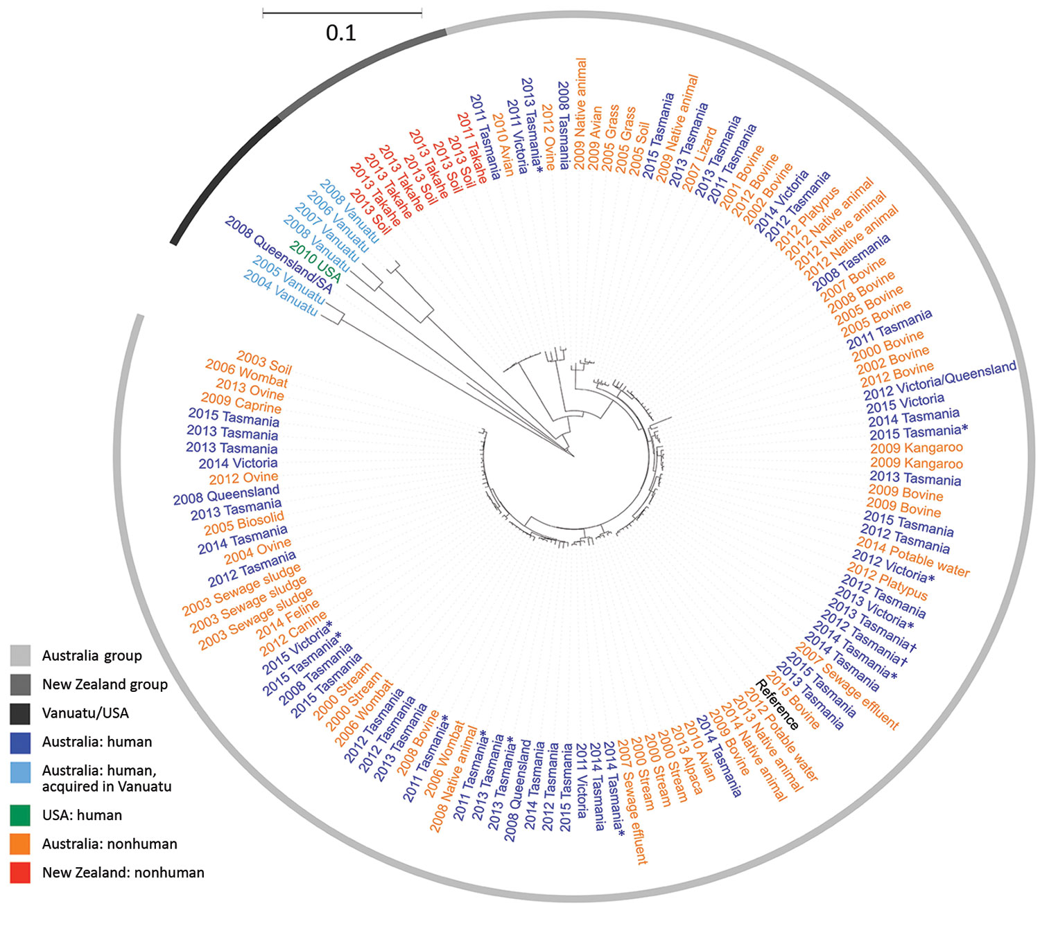 Maximum-likelihood phylogeny of 132 sequenced Salmonella enterica serovar Mississippi isolates from Australia and New Zealand and reference isolates, inferred from 8,573 core single-nucleotide polymorphisms. Nodes are labeled with isolation year, isolate source if nonhuman (all from Tasmania), and Australia state of acquisition or residence if human. Tree visualized with iTOL (https://itol.embl.de) and midpoint rooted. Scale bar indicates nucleotide substitutions per site. *State of residence wa