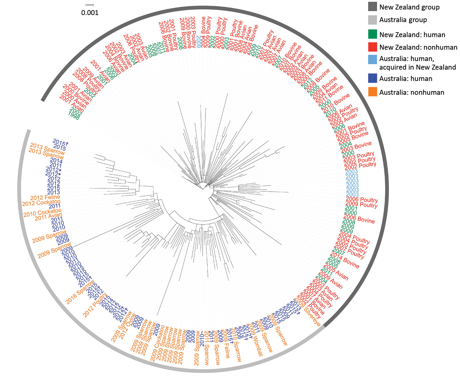 Maximum-likelihood phylogeny of 198 sequenced Salmonella enterica serovar Typhimurium definitive type 160 isolates from Australia and New Zealand and reference isolates, inferred from 2,203 core single-nucleotide polymorphisms, Australia and New Zealand. Nodes are labeled with isolate type and isolation year. All Australian isolates are from Tasmania unless specified otherwise. Figure created with iTOL (https://itol.embl.de). Scale bar indicates nucleotide substitutions per site. *Specimens from