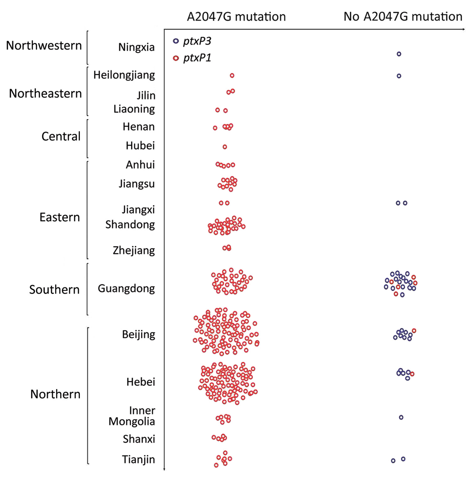 Geographic differences in frequency of erythromycin resistance in Bordetella pertussis isolates, China, 2014–2016. 