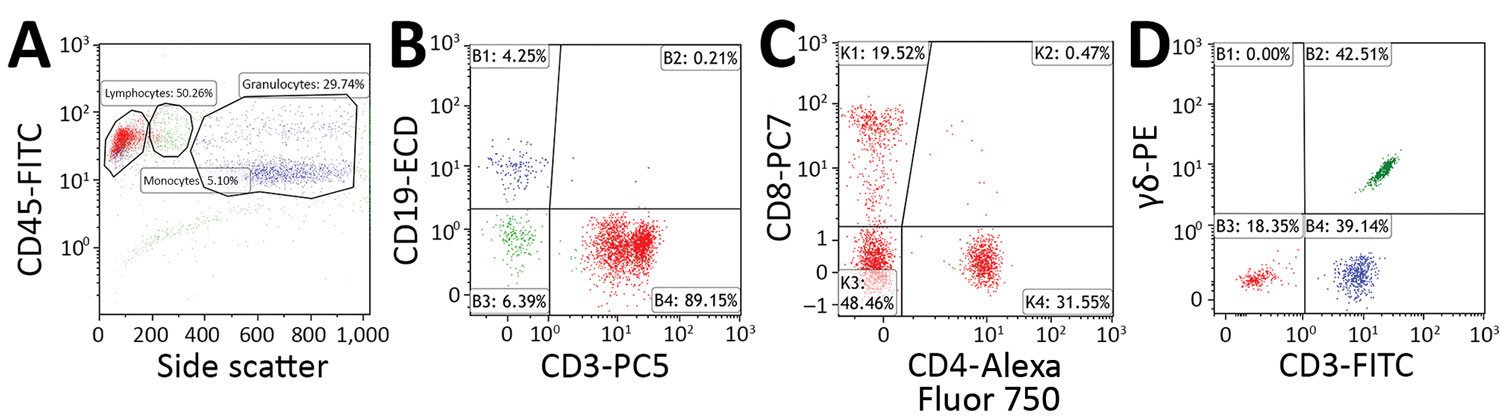 Flow cytometry gating strategy used to determine percentage of CD3+ lymphocytes that are CD3+/CD4–/CD8– T cells and γδ T cells in peripheral blood samples acquired from patients with suspected tularemia, Czech Republic, 2003–2015. A–C) Staining with CYTO-STAT tetraCHROME CD45-FITC/CD56-RD1 (phycoerythrin)/CD19-ECD/CD3-PC5, anti–CD4-Alexa Fluor 750, and anti–CD8-PC7 (Beckman Coulter, https://www.beckmancoulter.com). A) CD45 versus side scatter plot. Percentages of lymphocytes (red), monocytes (gr