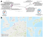 Thumbnail of Phylogenetic clustering and geographic distribution of highly pathogenic avian influenza A(H5N6) viruses, Europe, 2017–2018. A) Supernetwork generated by using maximum-likelihood trees of influenza virus full genomes with RAxML (https://cme.h-its.org/exelixis/web/software/raxml/index.html) and 1,000 bootstrap iterations followed by network analysis with SplitsTree4 (http://ab.inf.uni-tuebingen.de/software/splitstree4). Reassortant viruses are grouped according to their phylogenetic 