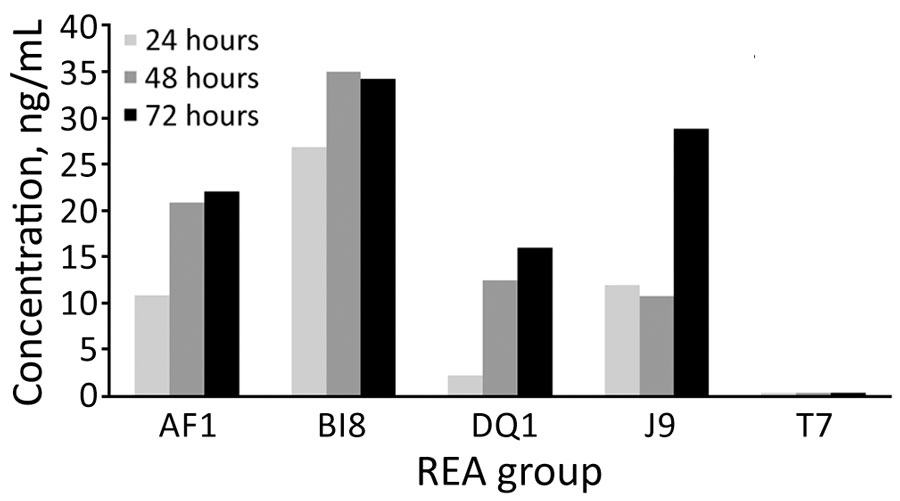Quantitative in vitro total toxin production in study of C. difficile at 2 US Veteran Affairs long-term care facilities and their affiliated acute care facilities. Results at 24, 48, and 72 hours of incubation are shown for REA strains AF (ribotype 244), BI (ribotype 027), DQ (ribotype 591), J (ribotype 001), and T (a nontoxigenic Clostridioides difficile strain). REA, restriction endonuclease analysis.