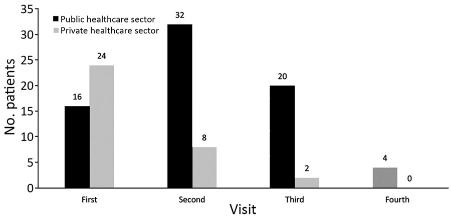 Distribution of visits to healthcare facilities in the public and private sectors by 40 presumptive multidrug-resistant tuberculosis patients before seeking care through programmatic management of drug-resistant tuberculosis, India, 2016–2017. 