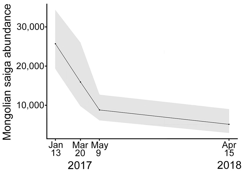 Saiga population in Mongolia during the outbreak of peste des petits ruminants in 2017 and the next year. Shaded area represent 95% CIs around abundance estimates.