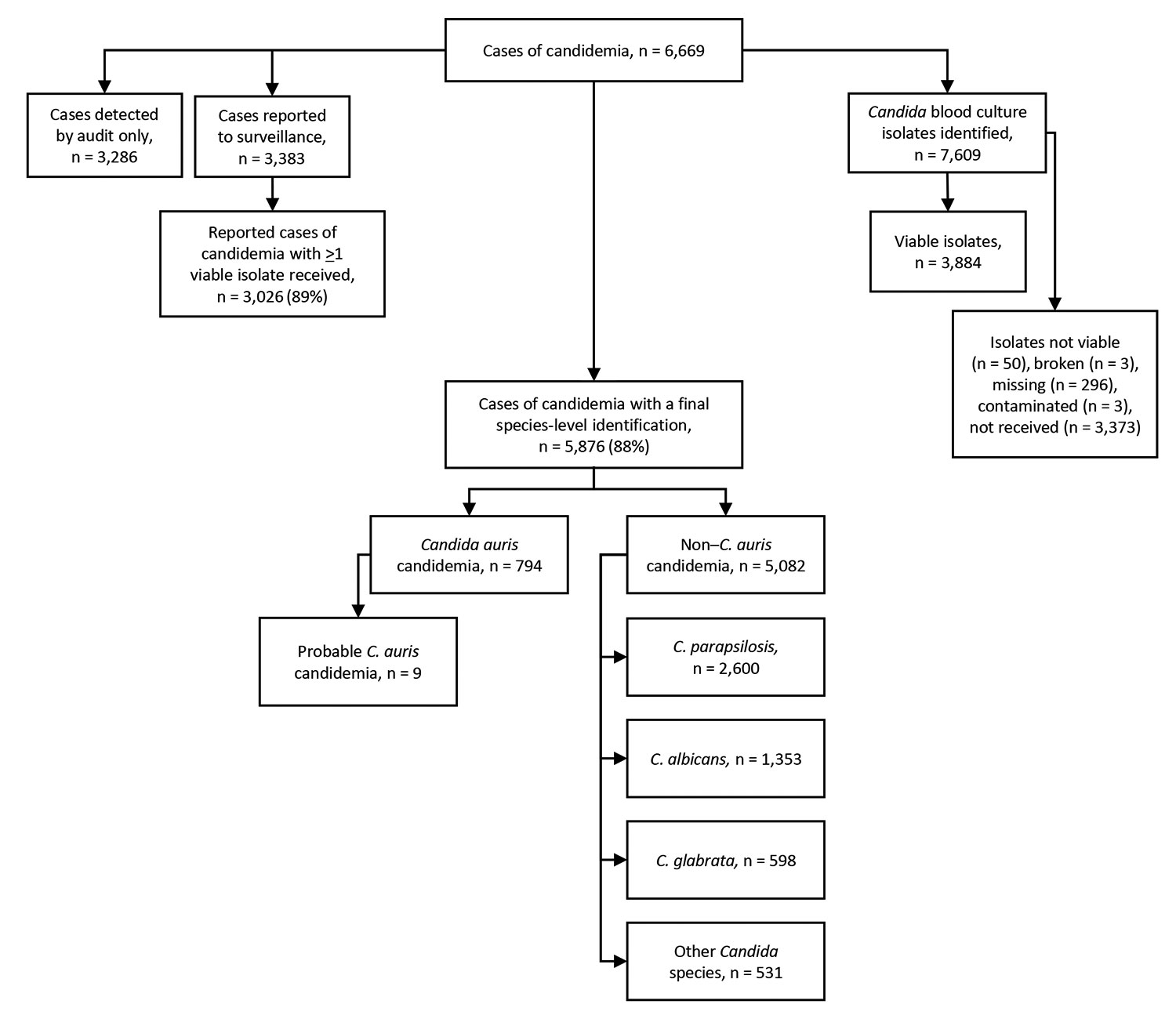 Flowchart showing numbers of candidemia cases detected by national surveillance and Candida species identified, South Africa, 2016–2017.