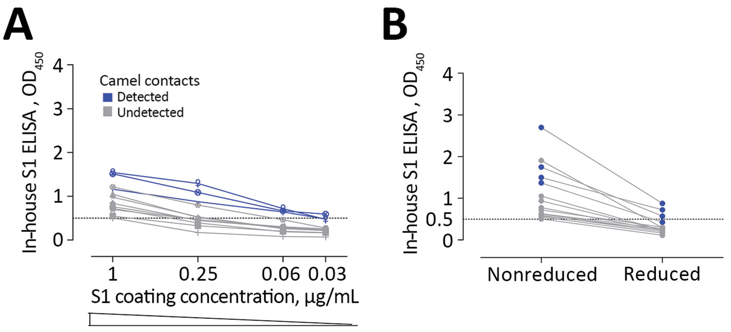 Low sensitivity of commercial S1 ELISA shown as the effect of lowering coating antigen concentration (A) or antigen denaturation (B) on the sensitivity of antibody detection among Middle East respiratory syndrome coronavirus–infected persons with camel contact. All samples were seropositive by in-house S1 ELISA and microarray. Dark blue indicates those that tested seropositive by commercial S1 ELISA.
