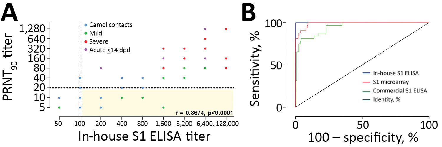 Correlation between neutralizing and S1 antibody responses and comparison of different S1 platforms. A) PRNT90 neutralization titers and IgG titers obtained by in-house S1 ELISA among PCR-confirmed MERS-CoV patients and persons with camel contact. Spearman correlation r value and 2-tailed p-value are shown. Yellow shading indicates S1-reactive nonneutralizing antibodies. B) Receiver operator characteristic (ROC) curves comparing the specificity and sensitivity of different MERS-CoV S1–based plat