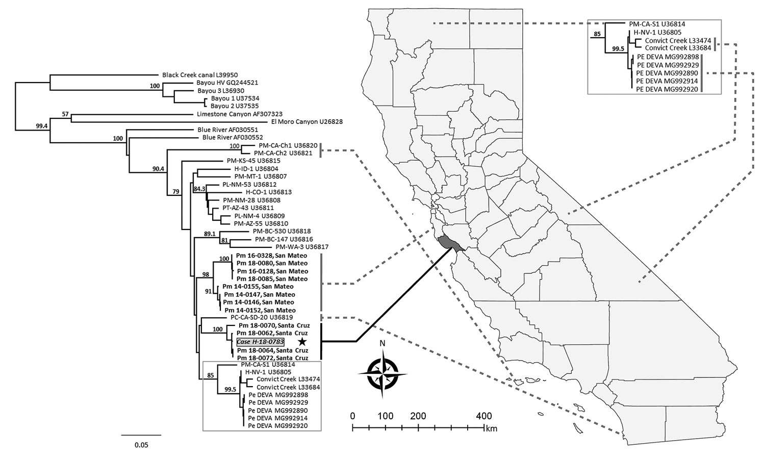 Phylogenetic tree of hantavirus Gn glycoprotein sequences from isolates collected in California, USA, and reference sequences. The hantavirus sequence from the case-patient described in this study (grey box) is shown in comparison to sequences from the case-patient farm in Santa Cruz County and archived samples from neighboring San Mateo County (bold). Dotted lines indicate general geographic origins of California sequences. Representative reference sequences of hantaviruses were downloaded from