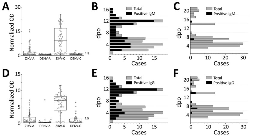 H-zMut2 ELISA for validation set in study of Zika diagnosis, Singapore. A, D) H-zMut2 reactivity to IgM (A) and IgG (D) present in plasma collected during acute and recent convalescent phases (ZIKV-A, n = 70 [1–6 dpo]; ZIKV-C, n = 48 [7–14 dpo]; DENV-A, n = 81 [1–6 dpo]; DENV-B, n = 70 [7–21 dpo]). Plasma samples were blinded and tested with H-zMut2 as the capture antigen. Normalized OD >1.5 for plasma sample was determined as positive for ZIKV infection. Results are representative of 2 replicates for each plasma sample. B, C, E, F) Patient samples for ZIKV (B, E) and DENV (C, F). The plots show distribution of number of plasma cases (x-axis) over number of days post infection (y-axis, dpo) for H-zMut2 ELISA tested with validation set; the number of positive plasma samples (black bar) was shown against the total (gray bar) for each dpo. DENV, dengue virus; dpo, days postonset of symptoms; OD, optical density; ZIKA, Zika virus.