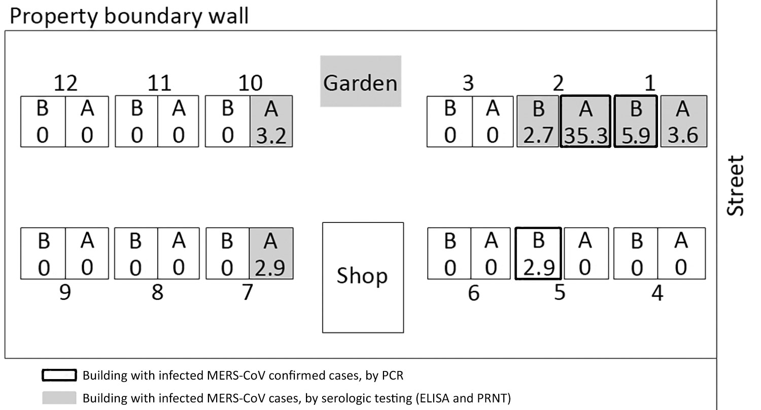 Schematic of expatriate dormitory (the residence, buildings 1–12) and MERS-CoV infection attack rates (IARs), Riyadh, Saudi Arabia, 2015. Each building contained 2 villas on 3 floors. The distance between buildings is ≈5 m. During the initial investigation (October 2015), 8 residents were positive for MERS-CoV by PCR (indicated by black boxes); they lived in buildings 1B, 2A, and 5B. A vegetable garden separated buildings 3 and 10, and a convenience store (shop) separated buildings 6 and 7. IARs