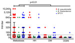 Thumbnail of Humoral immune responses to Burkholderia pseudomallei, B. thailandensis, and BCTV by indirect hemagglutination assay, Thailand. IHA titers are shown for acute melioidosis patients (n = 73) and 3 control cohorts, HH (n = 35), DM (n = 54), and OGNI (n = 10), against culture-filtrate antigen of B. pseudomallei, B. thailandensis, and BTCV. Each symbol represents an IHA titer response from a patient. Dotted line indicates the IHA cutoff titer for seropositivity. Medians (horizontal lines