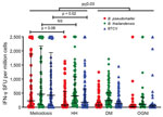 Thumbnail of Ex vivo IFN-γ ELISpot responses to Burkholderia pseudomallei, B. thailandensis, and BTCV, Thailand. IFN-γ responses were quantified for acute melioidosis patients (n = 82) and 3 control cohorts: HH, n = 93), diabetic patients (DM, n = 95), and patients with other gram-negative infections (OGNI, n = 42) against whole-cell heat-killed antigens of Burkholderia pseudomallei (BP, red dots), Burkholderia thailandensis (BT, green diamonds), and Burkholderia thailandensis CPS variant (BTCV,