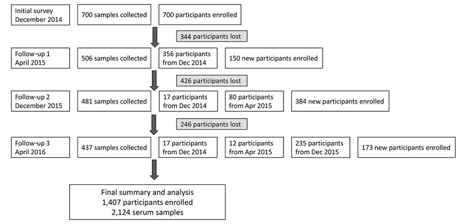 Flowchart of initial participant enrollment and follow-up distribution in 7 areas of China in a study of avian influenza virus seroprevalence during December 2014–April 2016.