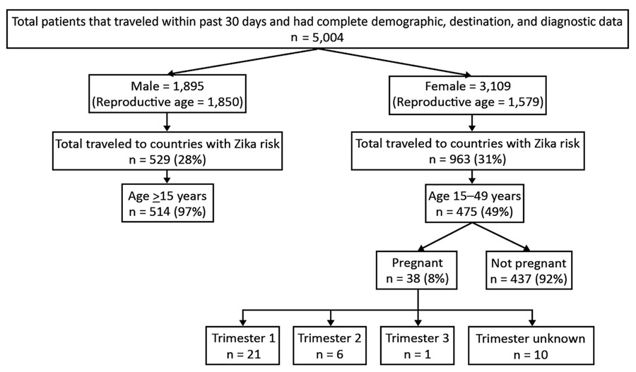 Flowchart of possible Zika virus exposure based on travel destination, sex, and pregnancy status in patients responding to a question on international travel &lt;30 days before seeking care at a hospital, Cambridge, Massachusetts, USA.