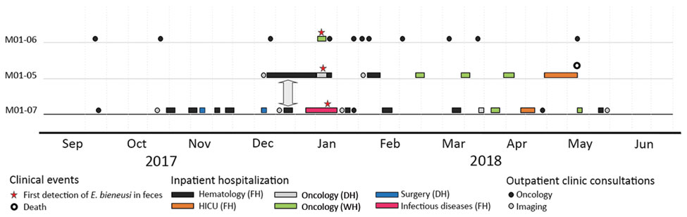 Hospitalization mapping for 3 patients with concomitant Enterocytozoon bieneusi microsporidiosis in the hematology unit of Center 1 university hospital, France. On the x-axis, dates (month-year) range from 5 months before to 5 months after the outbreak; on the y-axis, anonymous patient codes are given. The vertical arrow indicates the period December 26–28, 2017, when 2 patients, M01-05 and M01-07, were concomitantly housed in the same clinical department (FH in the hematology unit). DH, day hos
