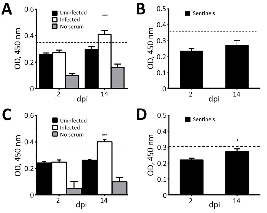 Detection of porcine deltacoronavirus (PDCoV)–specific IgY antibody titers in serum collected from chicks and turkey poults in a study of infection and transmission of porcine deltacoronavirus in poultry. A) Uninfected (n = 6) and infected chicks (n = 6). B) Sentinel chicks (n = 5). C) Uninfected (n = 5) and infected poults (n = 6). D) Sentinel poults (n = 5). OD values are blanked against a control of uncoated wells (carbonate buffer only). Values represent the average of 3 replicates; error ba