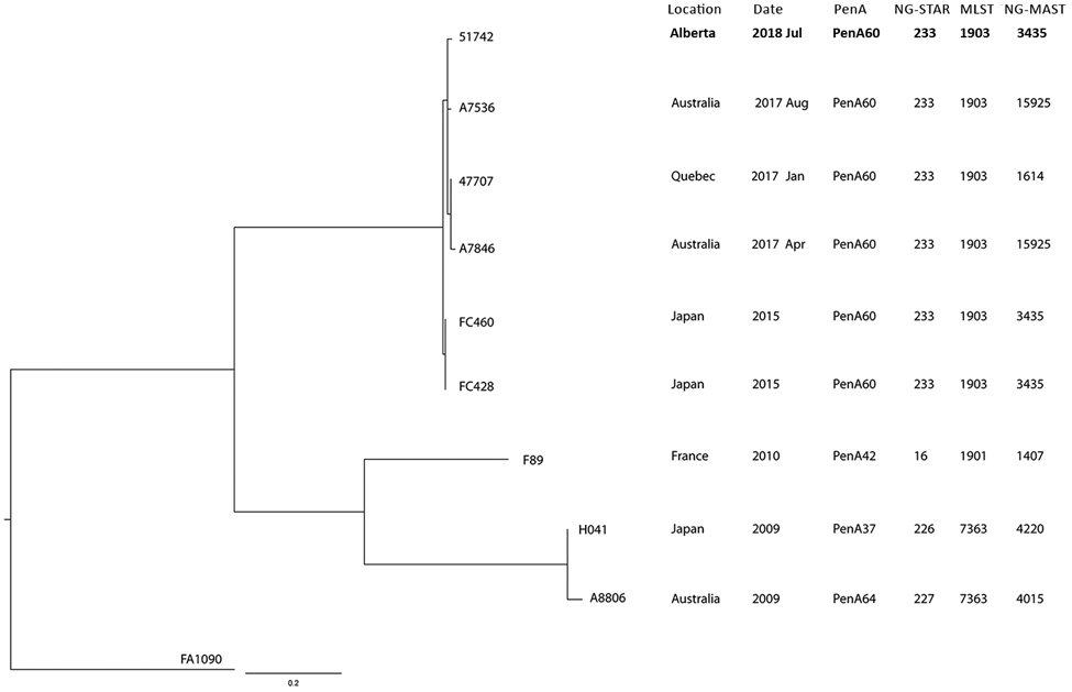 Core single-nucleotide variant (SNV) phylogenetic tree of ceftriaxone-resistant Neisseria gonorrhoeae identified from enhanced surveillance in Alberta, Canada (bold), and reference isolates. The maximum-likelihood phylogenetic tree is rooted on the reference genome of N. gonorrhoeae FA1090 (GenBank accession no. NC_002946.2). Scale bar represents the estimated evolutionary divergence between isolates on the basis of average genetic distance between strains (estimated number of substitutions in t