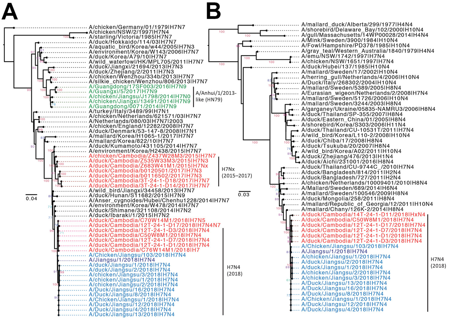 Maximum-likelihood phylogeny of the evolutionary origins of influenza A(H7N4) virus in Cambodia and comparison with reference isolates. H7 hemagglutinin (A) and N4 neuraminidase (B) genes were inferred using a general time-reversible nucleotide substitution model with a gamma distribution of among-site rate variation in RAxML version 8 (https://cme.h-its.org/exelixis/web/software/raxml) and visualized using Figtree version 1.4 (http://tree.bio.ed.ac.uk/software/figtree/). Branch support values w
