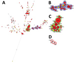 Thumbnail of Minimum spanning tree of 350 C. tropicalis isolates from multilocus sequence typing (MLST) data. A) Minimum spanning tree of 165 C. tropicalis blood isolates from this study’s cohort (Taiwan, 2011–2017) and 185 isolates with fluconazole nonsusceptibility from the central C. tropicalis MLST global database (https://pubmlst.org/ctropicalis). Each circle corresponds to a diploid sequence type (DST). The size of the circle indicates the number of the isolates belonging to a specific DST