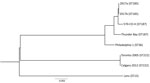 Thumbnail of Phylogenetic tree depicting the relationship between Legionella pneumophila isolates identified during investigation of legionellosis in an immunocompromised 3-year-old girl, Calgary, Alberta, Canada, and reference sequences. L. pneumophila core ortholog-based maximum-likelihood phylogenetic tree shows 8 previously published genomes and sequences of the 2 isolates from this study (2017a, clinical isolate from patient; 2017b, environmental isolate from hot tub in patient’s home). Tre