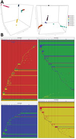 Thumbnail of Graphical representations of the 8 Mycobacterium ulcerans genomes and their 940 single-nucleotide polymorphisms from Buruli ulcer patients in Benin and Nigeria. A) Principal component analysis (PCA) projection on the first 3 principal components with 8 groups of genomes clustering together, which we defined as genotypes. PCA was performed based on the Eigenstrat algorithm but applied to a haploid organism. Image on the left displays a PCA performed on all 174 genomes; image on the r