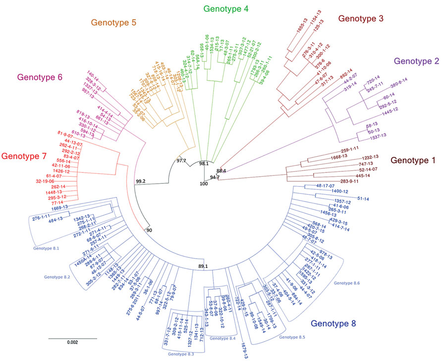 Eight genotypes emerging from phylogenetic analysis of Mycobacterium ulcerans isolates from Buruli ulcer patients in Benin and Nigeria. This rooted circular phylogenetic tree was built by using PhyML (22) on the basis of the core alignment of all single-nucleotide polymorphisms obtained with Snippy 3.2 (19). The bootstraps values are only represented on primitive branches. Branches with bootstrap values &lt;70% were collapsed as polytomies. The outgroup (Papua New Guinea genomes) and the referen