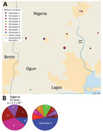 Thumbnail of Difference in Mycobacterium ulcerans genotype distribution between Ogun State (Nigeria) and Benin. A) Locations of patients and the genotypes of the strains. B) Composition of the cluster in the Ogun area compared with the composition that would be expected from a random distribution. The genotype distribution of the Ogun was fundamentally different from those in Benin. 