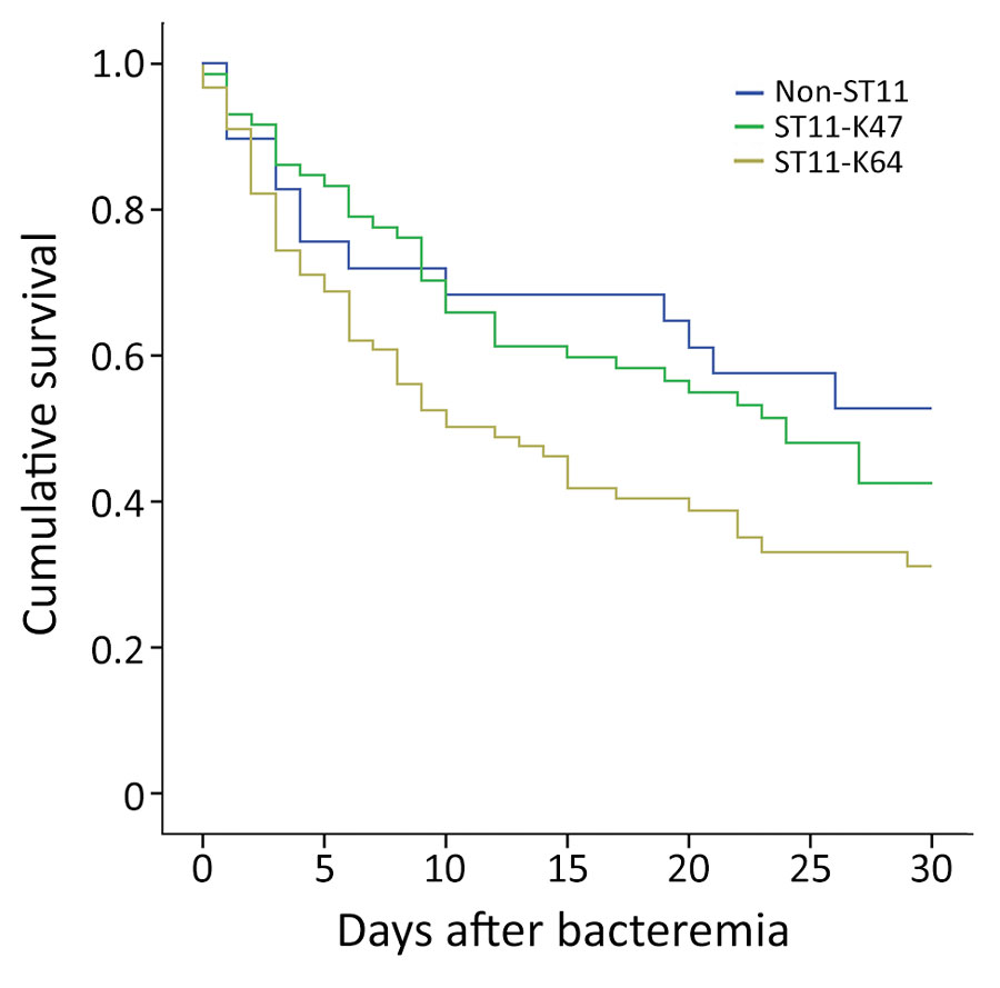 Kaplan–Meier survival estimates for patients with bloodstream infections caused by ST11-KL47, ST11-KL64, and non-ST11 CRKP, China, 2013–2017. A significant difference was found in the 30-day mortality among the 3 groups (p = 0.039). ST11-KL64–infected patients showed significantly higher overall 30-day mortality than ST11-KL47–infected patients (62.2% vs. 52.8%; p = 0.039) and non-ST11 CRKP–infected patients (62.2% vs. 44.8%; p = 0.05). No significant difference in 30-day mortality was found bet